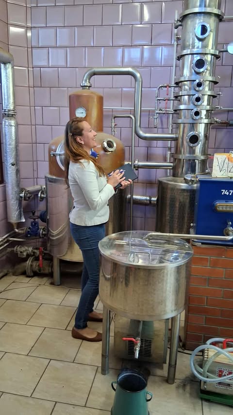 szekertoi-tanacsadas